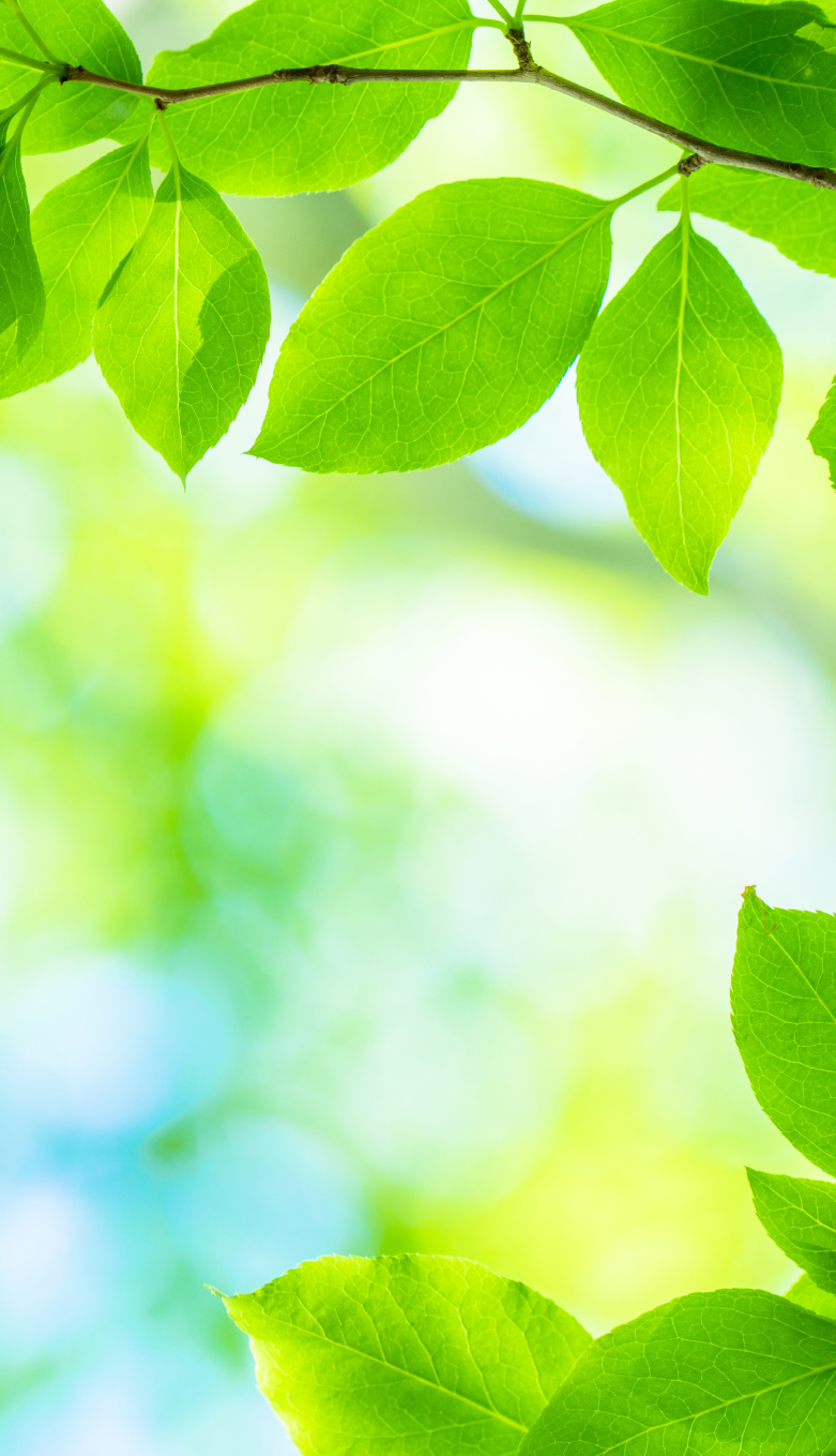 院長・スタッフメインビジュアル